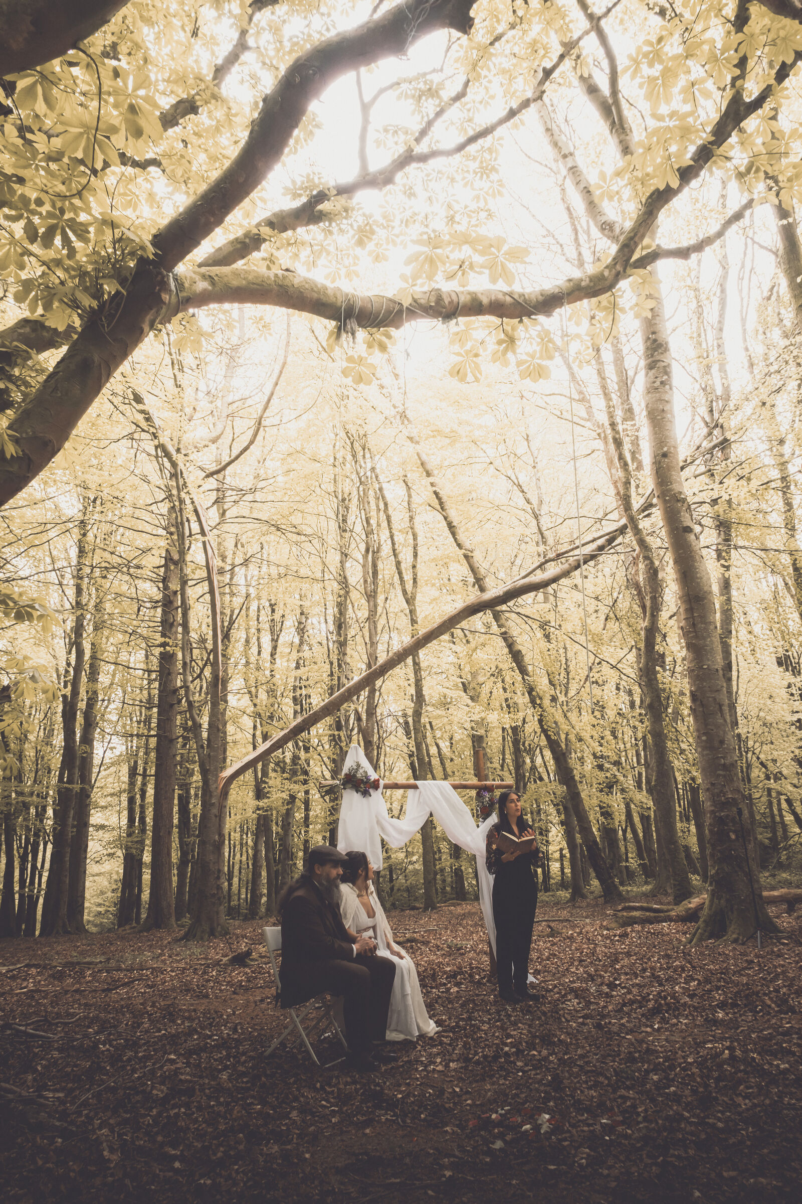 Unconventional forest wedding ceremony